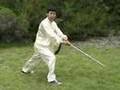    Wudang Tai Chi Sword