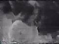 Ver Video