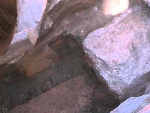 guarda il video