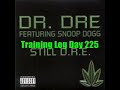 Day 225 DJ/Turntablist Training Log
