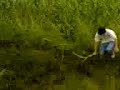Children of the Corn 6 Preview