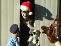 The Cop and the Cow: Searching for Santa