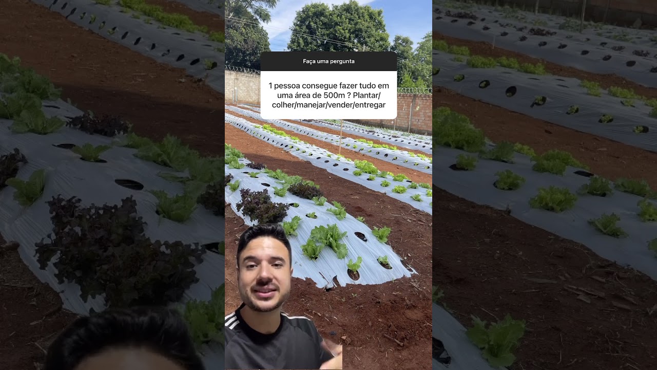 Uma pessoa consegue tocar 500m² de horta? #agro #hortaurbana #humor