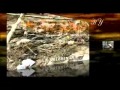 Islamul denunta terorismul(Romana)part II