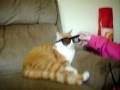 videos de It's Real Sunny Out Today