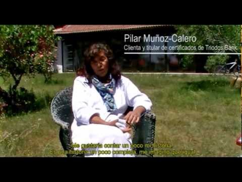 Imagen de previsualización de YouTube