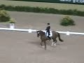 Steffen Peters on Floriano Steffen Peters on Floriano