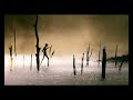 Shirodhara - Kerala Tourism - Your Moment is Waiting