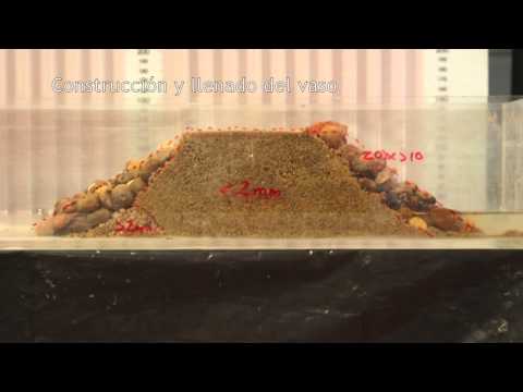 Imagen de previsualización de YouTube