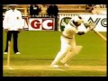punjagi totay::::::::: cricket 38 dvd final