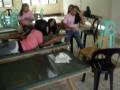 CSCST-ARGAO 2nd Year MUSIC VIDEO..^_^