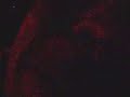 Rave