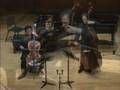 Rossini Duo, Mvt.III, for Cello and Double Bass (Wolf/Park)