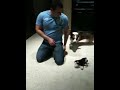 Presley and the monkey
