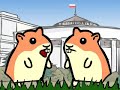 Chomiks.com - Chomiki Video!