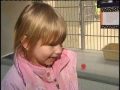 Humane Society Seeing Too Many Cats