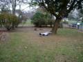 videos de Ronnie Going Insane