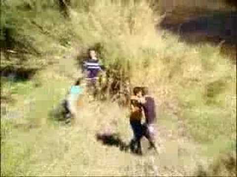 Malajube "Le jus de citron"