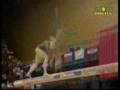2008 european championships (MV)