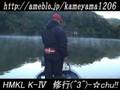 ブラックバス 亀山ダムのベイト(^O^)/