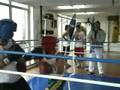 Boxe Global 2