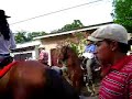 HIPICOS DE NICARAGUA, MASATEPE