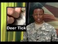 Preventing deer ticks