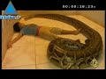La mascota perfecta para un niño de la india