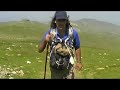 The Way - Camino de Santiago Pilgrimage