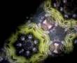 とんぼ玉万華鏡-3