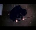 eskimo-joe-black-fingernails-red-wine-live.html