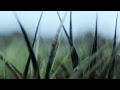 Love it. Guinness | "World" http://j.mp/10BNx8