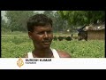 Foreign import fears for Indian farmers - 30 Nov 09