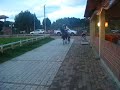 EL PARADOR PAISA
