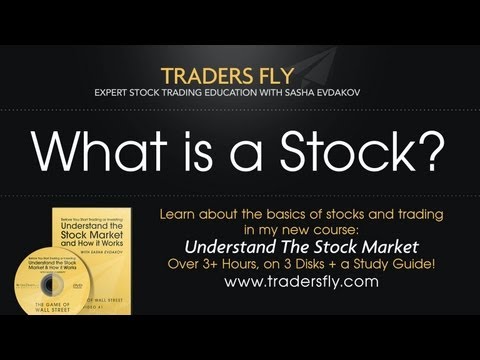 how to learn investing