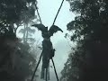 two road blockades and a bridge-sit defend the ancient forests of the southern tasmanian, weld valley