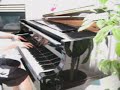 Chopin - Nocturne in Bb Minor, Op. 9, No. 1 by calbee219