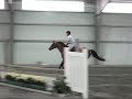 mercury - 6yr old mare at glenwillow - contact kim stewart - glenwillow@adelphia.net