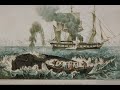 AHAB:  The Sermon (Part 1)