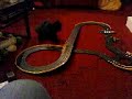 Micro Scalextric i/c kitten
