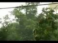Ike Hits Southern Illinois