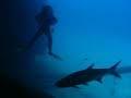 Hilma Hooker