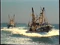 Brixham Trawler Rrace 2006 Brixham Trawler Rrace 2006
