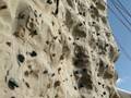 Renee Climbing The Wall Pt.2