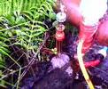 videos de Ram Pump Installation