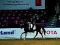 dominika zdanowicz,galop,ciag