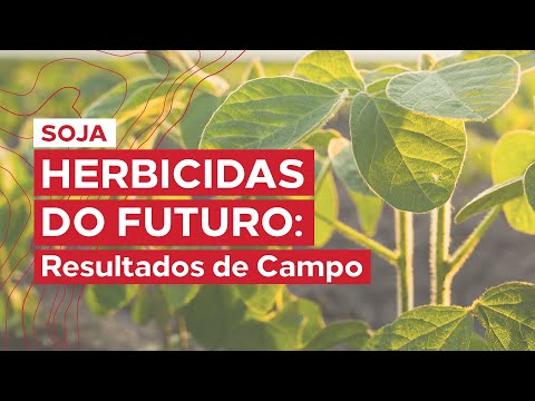 Série Herbicidas do Futuro - KYOJIN em SOJA - Leandro Marques 