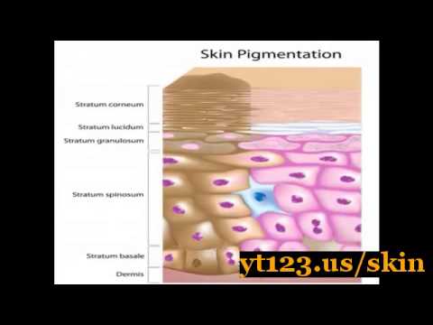 how to get a fairer skin quickly