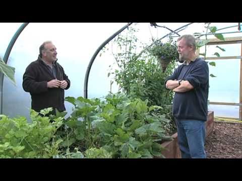 polytunnels - A Poly tunnel gives you the gift of gardening outdoors, indoors. Crops and flowers grow faster and stronger when sheltered from winds, warmed by the sun and ...