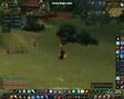 Zsola lvl70 Human mage arc fire Bloodscalp